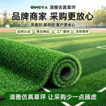 跨境人造仿真草坪地毯幼儿园户外绿色塑料假草皮足球场人工铺地垫