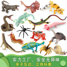 �羳���挍�����Є���ģ���،m�������߱ڻ����ϐ�Ӿ���֩��Λρ
