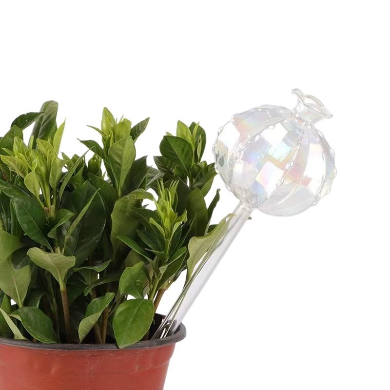 仙人球植物浇花器创意懒人自动渗水滴灌浇花器家用绿植盆栽园艺用|undefined
