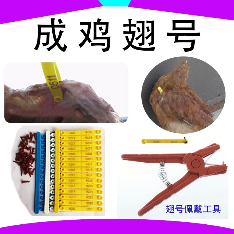 O1CN01guNB3W1TY2Y3xX9Bv_!!7729