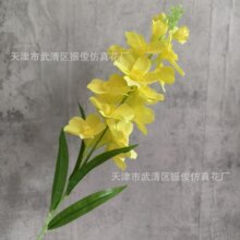 �����w��߶˻�c�b��L���ӷ���ɲ��w��݆�ֻ���ٻ��ɻ��b�