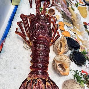 ��������rģ�Ͱ��������Ű��������t�����ʽ���r����չ̨�[�OƷ