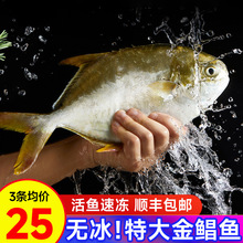 �S���K�~���r�R�~���~�K�~���K�~�ش��r��r���l�����K�~���r