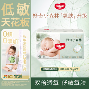 ����Сɭ������b����ѝNBSMLXL�����򲻝�ɭ�����Z����ѝLXLXXL