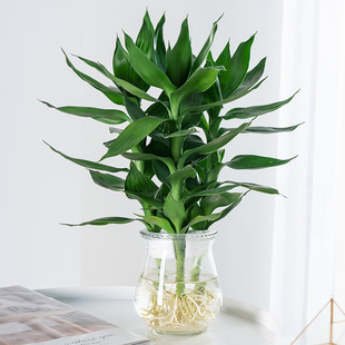 ^Fˮֲl؛k҃Կ͏d׻ֲޱ