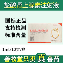 兽用盐酸 肾上腺素 犬猫急救疫苗应激解救猪牛羊用10支装正品批发