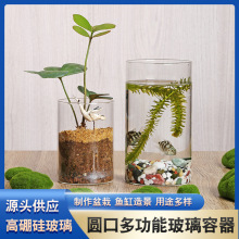 高硼硅圆筒玻璃花瓶绿萝小鱼缸插花器水培景观花盆花瓶玻璃摆件