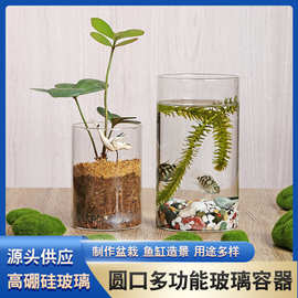 高硼硅圆筒玻璃花瓶绿萝小鱼缸插花器水培景观花盆花瓶玻璃摆件