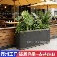 ���P䓻�����⻨���ۘǲ��Fˇ���ۇ��ڸ����·�L�����Ƅӻ����