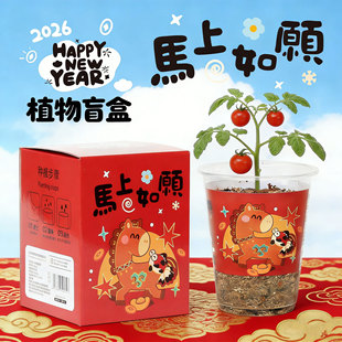 �_�W�Y��ֲ��ä������С���Ԅ��⹝�Ճ�ͯ�Gֲ�N��ä���������l