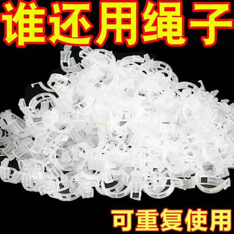 Пластиковый крепежный зажим для привязки зажим для лозы фиксирующий Зажим для зеленых растений держатель виноградной лозы для формирования клипа