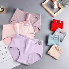 Ůʿ��ѝŮ2024�¿�ތW��Ů���������m͸���a���ꋌ������ѝ