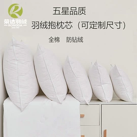 羽毛、羽绒;羽绒枕