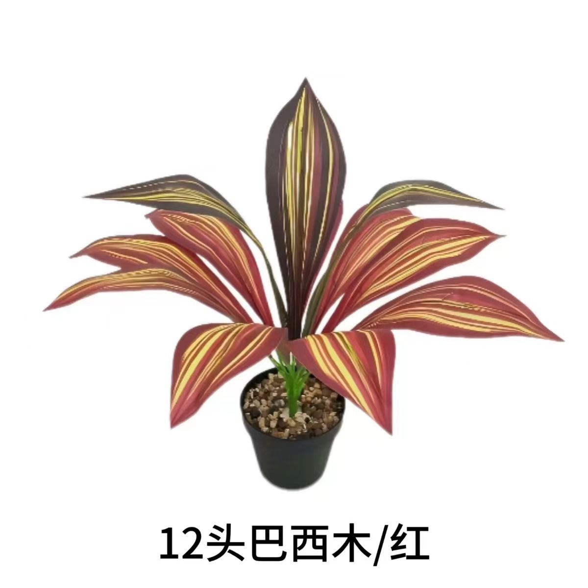 브라질리언 우드 레드 12개(냄비는 포함되지 않음)