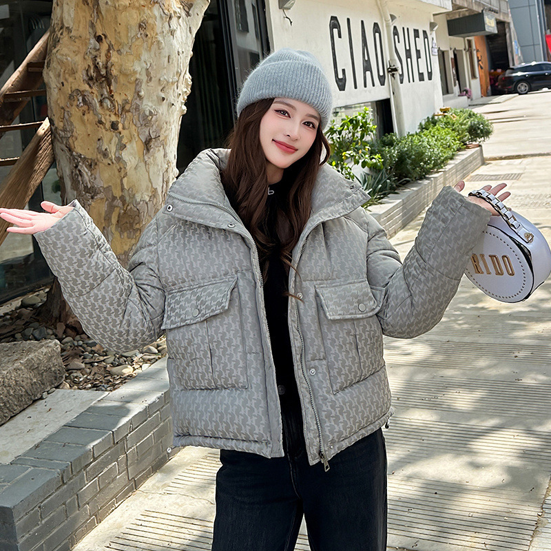 2025 chaqueta de algodón encapuchada ropa de algodón de mujer nuevo corto invierno estilo coreano de gran tamaño grueso chaqueta de algodón de cuello vertical chaqueta de moda image 8