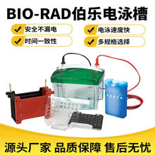 伯乐电泳槽biorad垂直电泳槽转印槽蛋白槽电泳仪代理