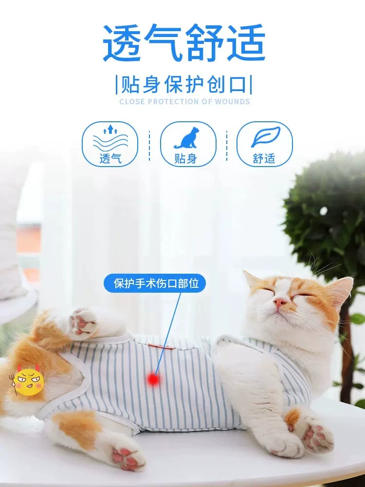 Хирургическая Одежда для кошек, женская одежда для кошек, стерилизация домашних животных, защита от облизывания, защита от укусов, дышащая одежда для стерилизации кошек