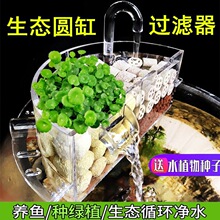 �A�β����~���^�V��С������һ����ѭ�h�^�V�дɸ׵������ٲ�