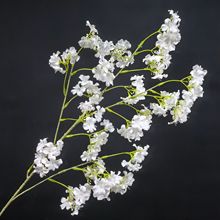 ���ܶ����㻨���T�ؔ[С�黨��c�b廨�ҾӔ[�O�Ĕz���߼ٻ�