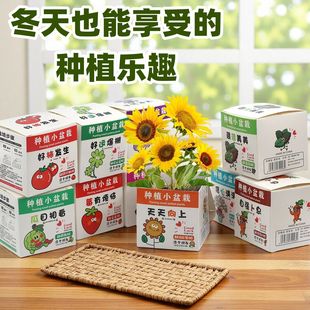 ף��С�������惺ͯ�_�W�༉����Y��W����Ʒ�k������w����ä��