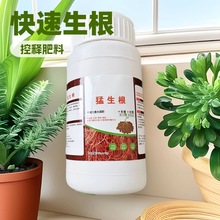 �����������ۻ�����ጷ�ֲ�������������߲˹��仨������������