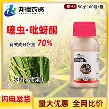 �������S�����| 70%���x�����ͪˮ�����wʭ�����x�����rș���x��