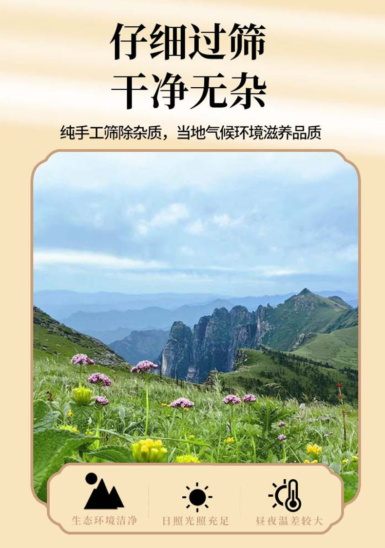 Sha Yuan Zi Astragalus Seed Tea 125g Dried Flattened Milkvetch Seeds Traditional Chinese Herbal Infusion quality and texture
