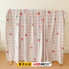 韩式格子草莓法兰绒毛毯床单夏季空调毯办公室午休小毯子沙发盖毯