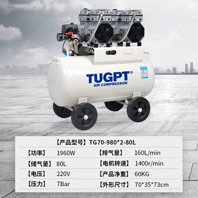 Spray Paint Woodworking Dental — Hava kompressorları - tg70-9802-80l