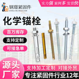 镀锌化学锚栓药剂镀彩不锈钢高强度倒锥机械锚栓膨胀栓厂家批发