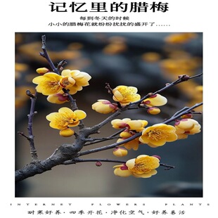 �ͺ��̓����������׻��ļ��_������ֲ���m�϶����B�Ļ������N�Ļ�