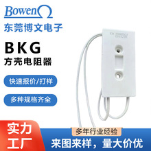 BKG�Ŏ�����ˮ����� ׃�l�����ӳ�����80W10R20R30R50R60R75R1