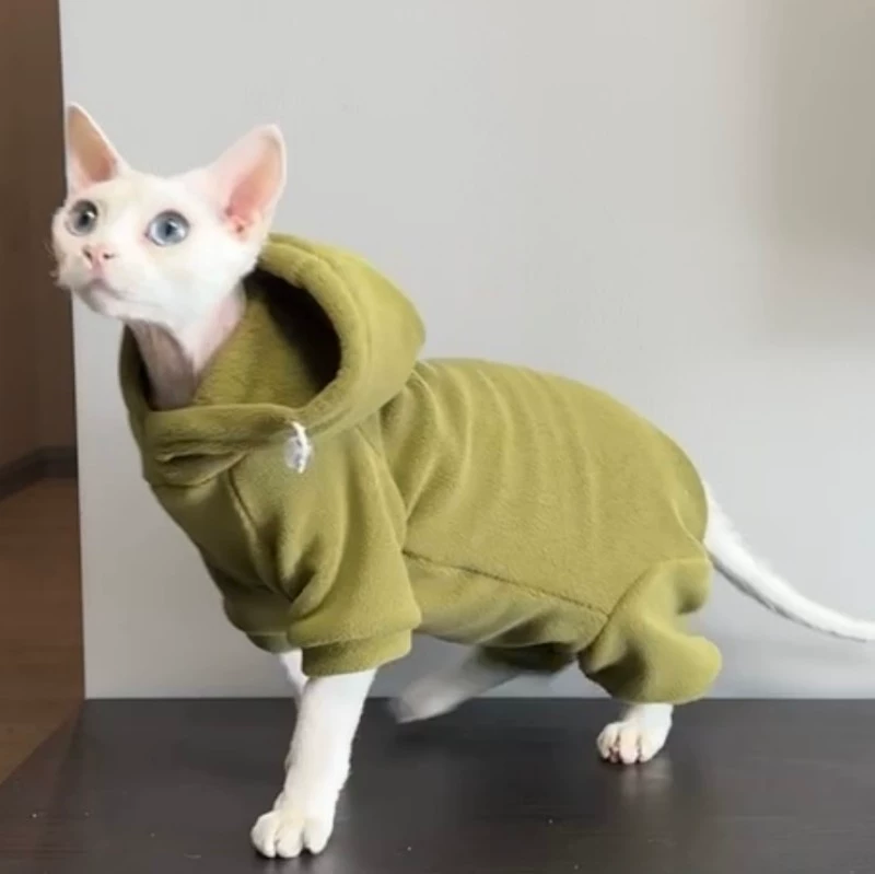 无毛猫衣服秋冬厚款保暖德文蓝猫卷毛猫护肚子四脚衣弹力奥粒绒