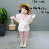 Summer summer clothing, children's set, 2021 collection, children's clothing, wholesale, Korean style