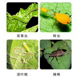 Враг на байер убивает чайные деревья, зеленые цикады, соевые продукты, насекомые, слепота, липкие пестициды насекомых 80 мл