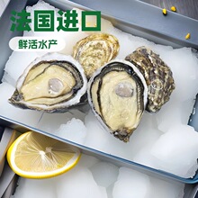 �����M���r�����������l������G���ؐ¡Ů��ˮ��¶��õ����