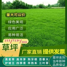 �G����ƺ�N�Ӹ���é�������ѹ�����������o���ļ������~�ݷN��̤