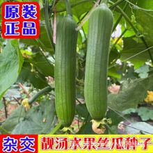 �n��ˮ���z�ϷN��ˮ���z�ϷN�ӷN�ļ�ͥԺ����߮a��z�ϷN��