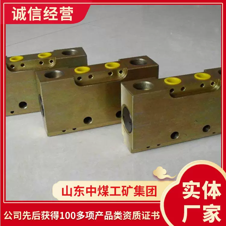 生产设备双向锁FDS125/40 双向锁FDS125/40价格