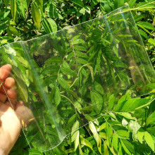 frp�ɹ���ꖹ����Ҵ����S�����͸�����߲����w�S�V�|�S��