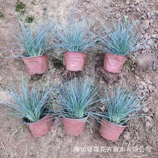 �{��ë �{��é �{���� �޸��ر��ݻ� �@�־G���������ݻ������l