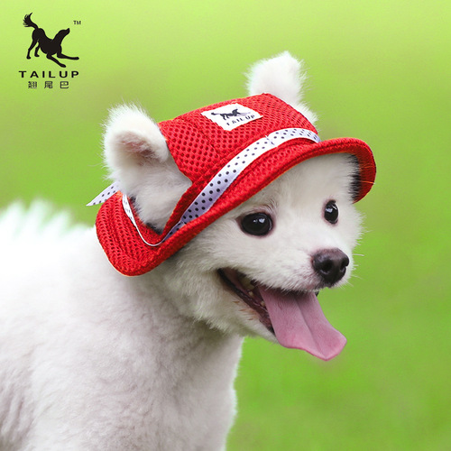 Tail Up/TAILUP Dog Fashion Cute Cotton Canvas Princess Baseball Sun Protection Sun Hat Supplies