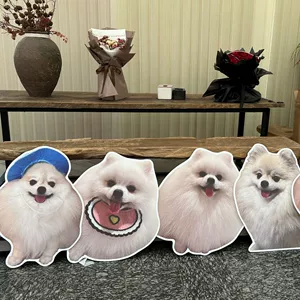 宠物生日派对布置狗狗立牌道具KT板猫猫拍照打卡板背景墙KT立牌