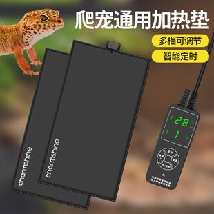 ӟ|{ؐa؉|ܶ~ˮܿ؜ȡů늟|