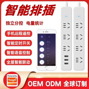 Graffiti scheme Wifi smart plug mobile phone remote control timer switch patch panel Voice Control Smart Socket