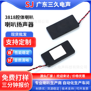 3818������Ę�R�eǻ�w�L���γ����ȳ���ǻ�w����1838�����P��