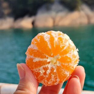 �|�����۽۟o�ѱ�Ƥ����Ϙ������r��ֱ�l�������r�۽�