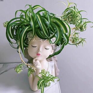 ���ľ��~���m����Ů���҃����̨�����՚�ˮ����B�Gֲ���ԾGֲ