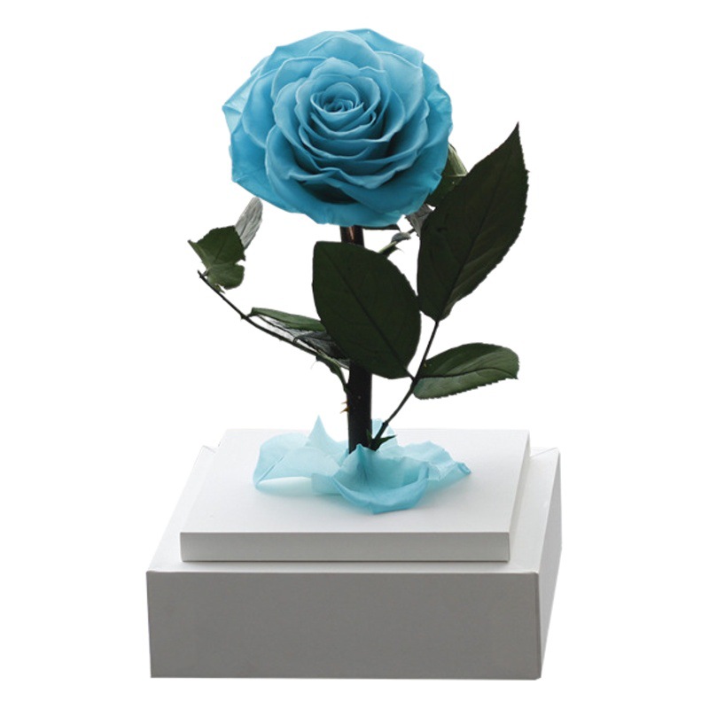 Regalo acrílico del Principito, rosa, Día de San Valentín, regalo de cumpleaños para niña, flor eterna, arte de flor eterna terminado