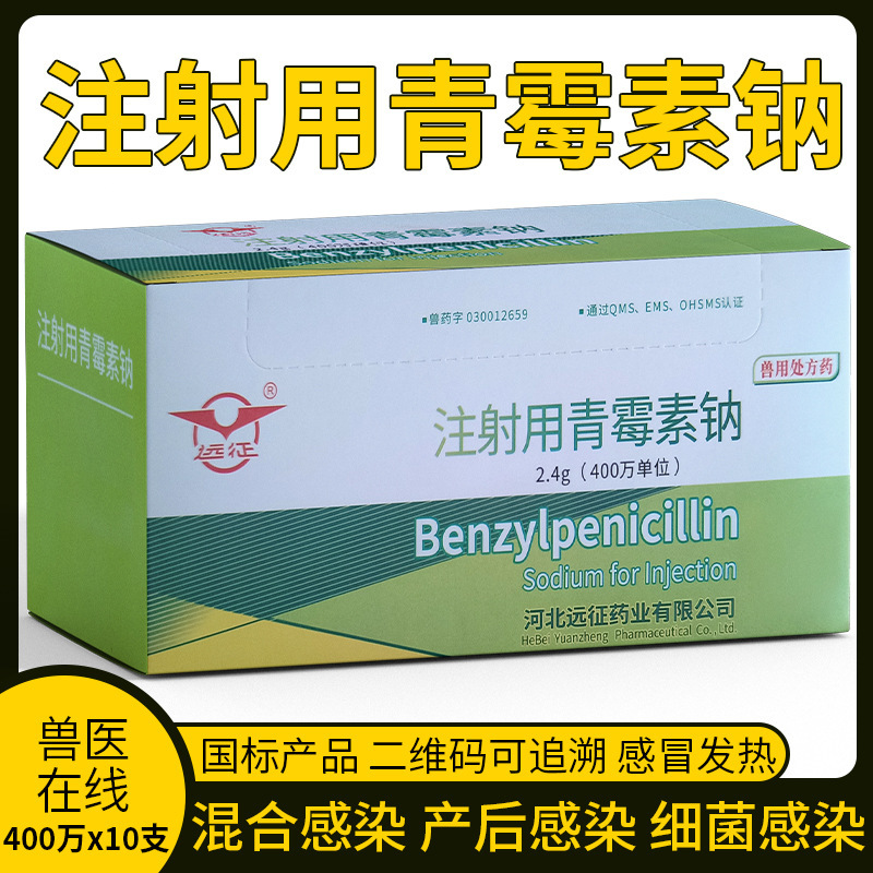 远征注射用400万青霉素钠牛羊猪马宠物水族抗菌放线菌感染青梅素